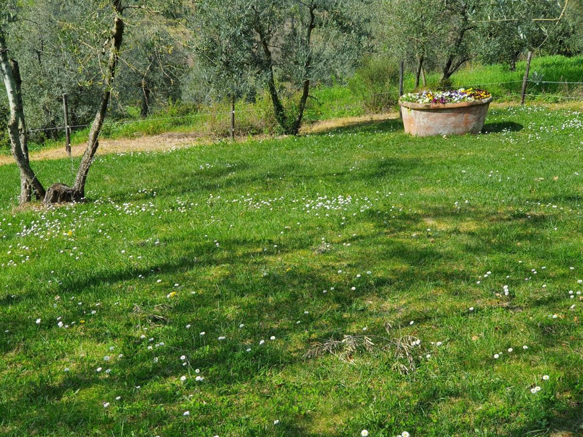 Bed and Breakfast Residenza Il Colle Impruneta Exterior foto